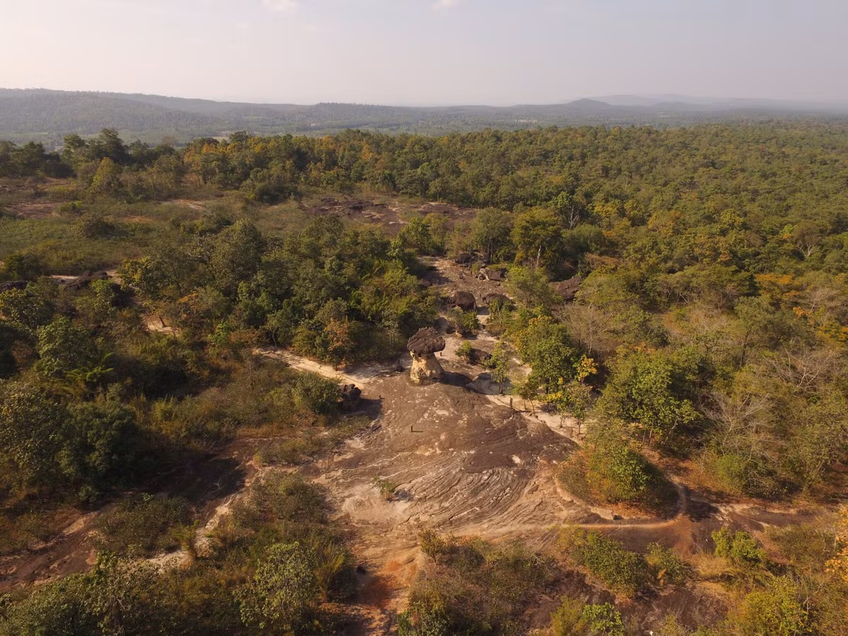  Nằm trong vùng rừng núi của tỉnh Udon Thani. Công viên tọa lạc ở tỉnh Udon Thani, thuộc vùng Isan của Thái Lan. Khu vực này có địa hình núi thấp xen rừng khô nhiệt đới, tạo nên cảnh quan tự nhiên hoang sơ và khác biệt so với nhiều điểm du lịch nổi tiếng khác của đất nước. Ảnh: khaosodenglish.com.