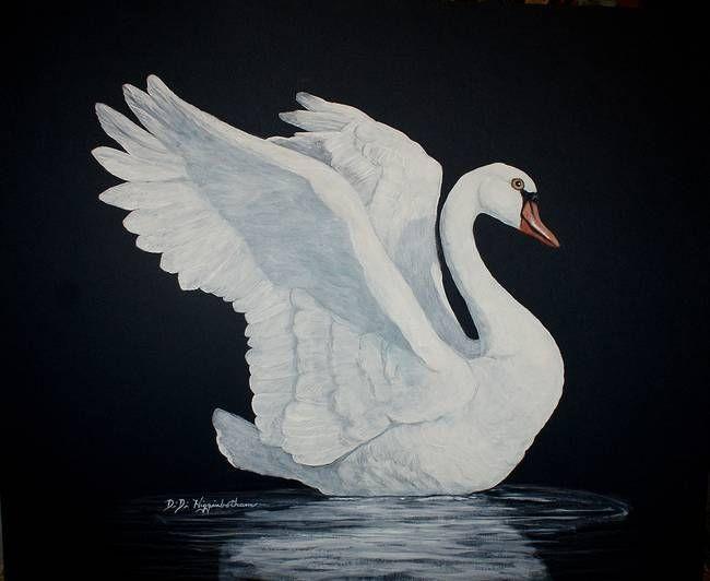  Thiên nga có vai trò quan trọng trong văn hóa nghệ thuật. Từ “Hồ Thiên Nga” của Tchaikovsky đến hình tượng thi ca châu Âu, thiên nga luôn là biểu tượng của tình yêu thuần khiết. Ảnh: Pinterest.