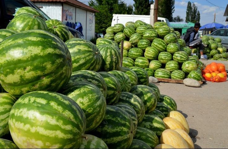  Biểu tượng của mùa hè và lễ hội. Ở nhiều quốc gia, dưa hấu không chỉ là thực phẩm mà còn gắn liền với các lễ hội, trò chơi và hình ảnh vui tươi của những ngày hè rực nắng. Ảnh: Pinterest.