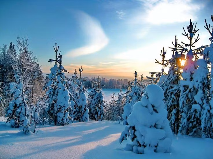  Ít chịu tác động con người. Vì nằm xa khu dân cư và có điều kiện tự nhiên khắc nghiệt, Komi hầu như vẫn giữ nguyên vẹn nét hoang sơ, ít bị khai thác hay tàn phá. Ảnh: Pinterest.