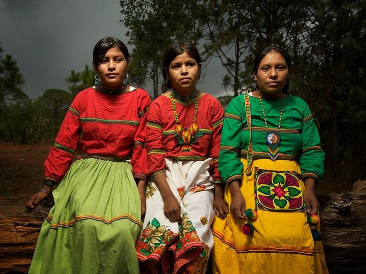  Tổ chức xã hội dựa trên tinh thần cộng đồng. Một nét đặc trưng của người Zapotec là hệ thống “tequio”, hình thức lao động cộng đồng không trả công. Mỗi thành viên đóng góp sức lực cho các công việc chung như xây dựng, lễ hội hay bảo trì cơ sở hạ tầng, thể hiện tinh thần đoàn kết bền chặt. Ảnh: Pinterest.