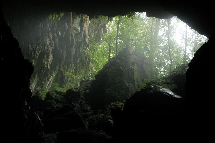  Sở hữu hang động lớn bậc nhất thế giới. Hang Sarawak trong quần thể hang động Gunung Mulu đủ rộng để chứa nhiều chiếc máy bay cỡ lớn. Ảnh: Pinterest.