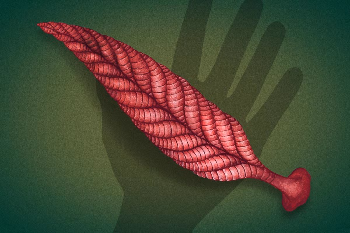  Sống trong môi trường biển sâu. Các nghiên cứu cho thấy Charnia từng sống dưới đáy biển sâu, nơi ánh sáng gần như không có, khác với giả thuyết cũ cho rằng chúng sống ở vùng nước nông. Ảnh: amazonaws.com.