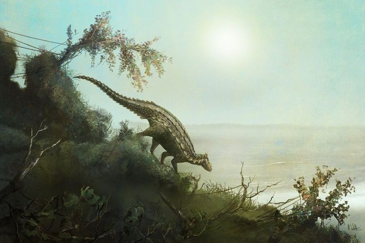  Là một trong những khủng long bọc giáp sớm nhất. Loài này được xem là tổ tiên gần của nhóm Thyreophora – nhóm khủng long mang giáp bao gồm Stegosaurus và Ankylosaurus. Điều này khiến Scelidosaurus có vị trí quan trọng trong nghiên cứu tiến hóa. Ảnh: Pinterest.