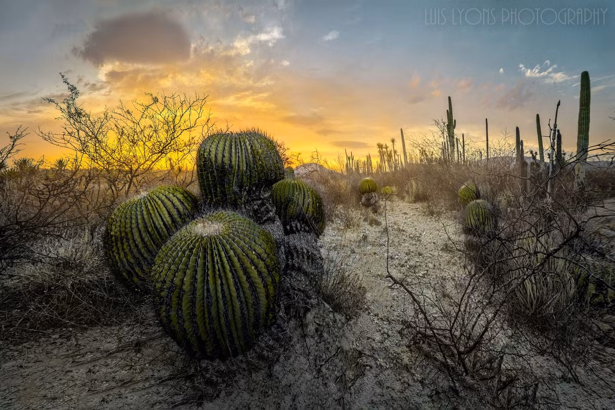  Có dấu tích cư trú của con người từ hàng nghìn năm trước. Các hang động và di chỉ khảo cổ trong vùng cho thấy con người đã sinh sống tại đây liên tục hơn 10.000 năm. Ảnh: Pinterest.