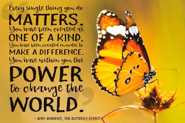  6. Không phải lúc nào hiệu ứng cũng xảy ra. Mặc dù phổ biến trong truyền thông, nhưng hiệu ứng chỉ xảy ra trong các hệ động lực phi tuyến, không phải trong mọi tình huống hay hệ thống. Ảnh: Pinterest.