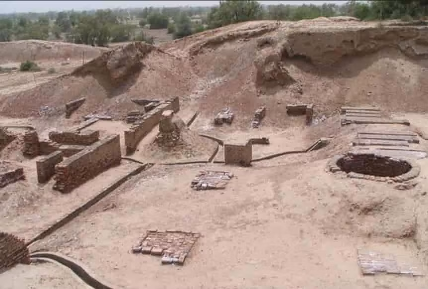  Người Rakhigarhi biết trồng trọt và buôn bán. Họ trồng lúa, lúa mì, kê và trao đổi hàng hóa với các khu vực khác thông qua mạng lưới thương mại cổ. Ảnh: jdmagicbox.com.