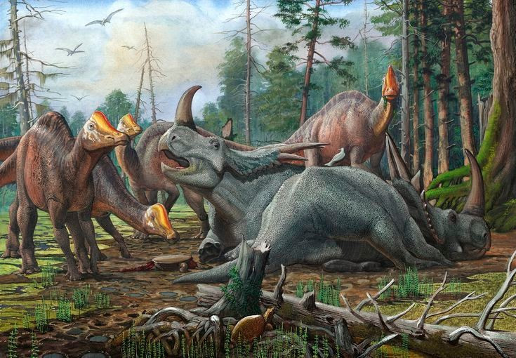  Chim có thể chỉ là nhánh phụ. Vì chim là hậu duệ trực tiếp của khủng long, sự tồn tại lâu dài của tổ tiên có thể khiến chim không trở thành nhóm động vật phổ biến như hiện nay. Ảnh: Pinterest.