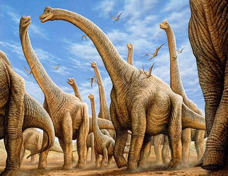  6. Sống theo bầy đàn. Giới khoa học cho rằng Brachiosaurus sống theo nhóm để tăng khả năng phòng thủ trước những loài ăn thịt nguy hiểm như Allosaurus. Ảnh: Pinterest.