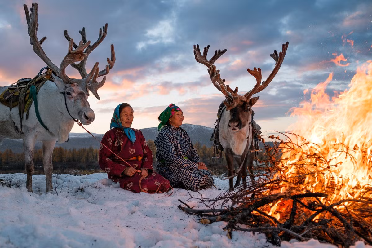  Nổi tiếng với nghề chăn tuần lộc. Đây là hoạt động sinh kế quan trọng và mang tính biểu tượng của người Chukchi. Ảnh: Pinterest.