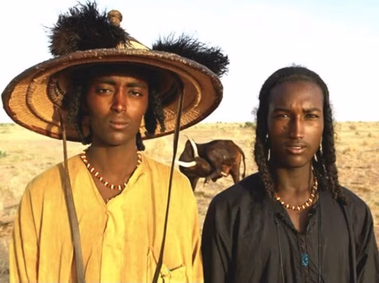  Gia súc là trung tâm đời sống kinh tế và xã hội. Đàn bò không chỉ là tài sản mà còn là thước đo địa vị và sự giàu có của người Fulani. Sữa, thịt và các sản phẩm từ bò đóng vai trò thiết yếu trong sinh hoạt hằng ngày, đồng thời gắn liền với nghi lễ và hôn nhân. Ảnh: Pinterest.