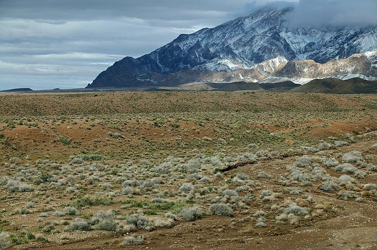  Nằm ở trung tâm của Trung Á. Các hoang mạc Turan trải rộng trên vùng đồng bằng Turan, bao gồm lãnh thổ của Kazakhstan, Uzbekistan và Turkmenistan. Khu vực này nằm giữa biển Caspi ở phía Tây và các dãy núi Trung Á ở phía Đông, tạo nên một vùng đất khô hạn rộng lớn với địa hình chủ yếu là sa mạc và bán sa mạc. Ảnh: Pinterest.