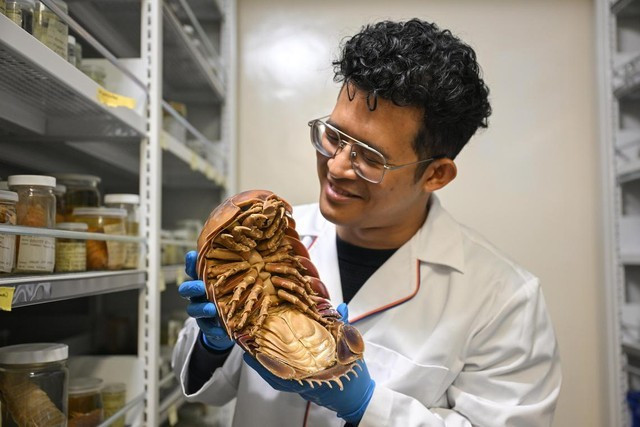 View - Loài vật siêu hiếm lần đầu lộ diện tại Việt Nam, thế giới chấn động | Báo Tri thức và Cuộc sống - TIN TỨC PHỔ BIẾN KIẾN THỨC 24H