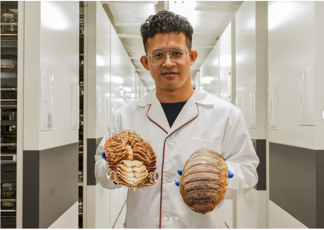 Các nhà khoa học Việt Nam đã vô tình phát hiện một loài vật khổng lồ từng nằm ngoài bản đồ khoa học khi mua mẫu vật tại chợ hải sản ở Gia Lai. (Ảnh: X)