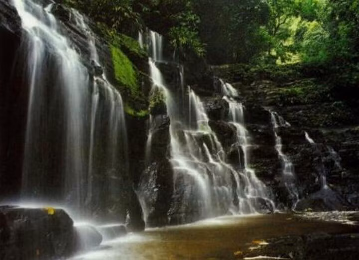  Nơi đây có nhiều thác nước và con sông lớn. Hệ thống sông ngòi trong công viên rất phong phú, trong đó nổi bật là sông Atrato. Nguồn nước dồi dào giúp duy trì các hệ sinh thái đầm lầy và rừng ngập nước, đồng thời nuôi dưỡng vô số loài sinh vật. Ảnh: Pinterest.