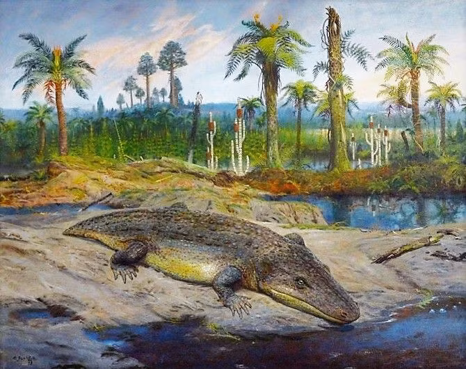  Sống chủ yếu trong nước. Chúng gần như không thể đi xa trên cạn, phụ thuộc vào ao hồ và đầm lầy. Ảnh: Pinterest.