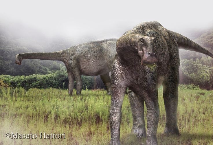  Nigersaurus đã thay đổi cách nhìn về khủng long ăn cỏ. Hình dáng khác thường và cơ chế ăn độc đáo của Nigersaurus cho thấy sự đa dạng đáng kinh ngạc trong quá trình tiến hóa của khủng long. Ảnh: Pinterest.