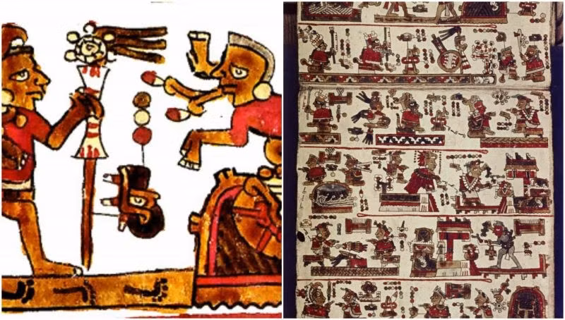  5. Được lưu giữ tại Thư viện Bodleian, Oxford. Bản thảo Selden hiện là một phần trong bộ sưu tập quý hiếm của Thư viện Bodleian ở Vương quốc Anh. Ảnh: thevintagenews.com.