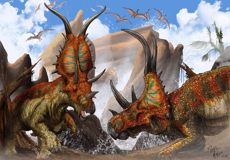  Đầu của chúng được bao phủ bởi tấm mào xương lớn. Cấu trúc này giúp bảo vệ cổ và là điểm nhận diện đặc trưng. Ảnh: Pinterest.