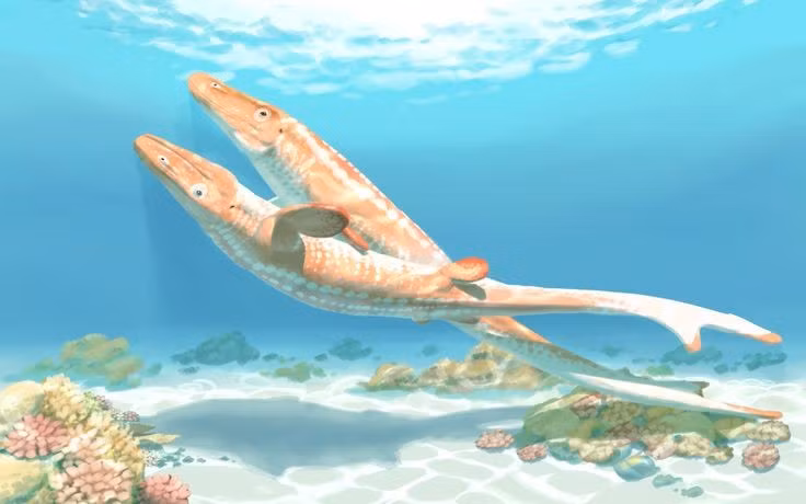  Sống vào cuối kỷ Creta. Chúng tồn tại cách đây khoảng 75–66 triệu năm, trước khi sự kiện tuyệt chủng lớn quét sạch khủng long. Ảnh: Pinterest.