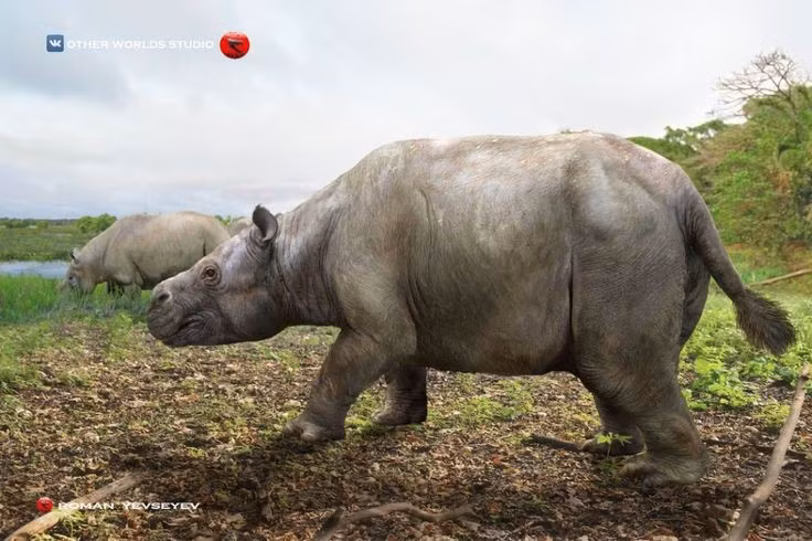  Thích nghi với môi trường nước. Cấu trúc cơ thể gợi ý rằng Toxodon có thể sống bán thủy sinh, tương tự hà mã ngày nay. Ảnh: Pinterest.