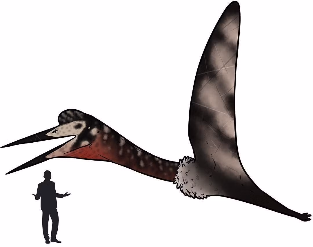  1. Là loài thằn lằn bay lớn nhất từng được ghi nhận. Quetzalcoatlus có sải cánh lên đến 10–11 mét, tương đương với một chiếc máy bay cỡ nhỏ. Ảnh: Pinterest.