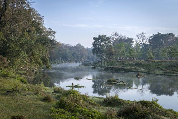  Hệ thống sông ngòi góp phần định hình cảnh quan Chitwan. Sông Rapti và Narayani mang phù sa, hình thành các bãi bồi, đồng cỏ và rừng ven sông giàu sinh học. Ảnh: Pinterest.