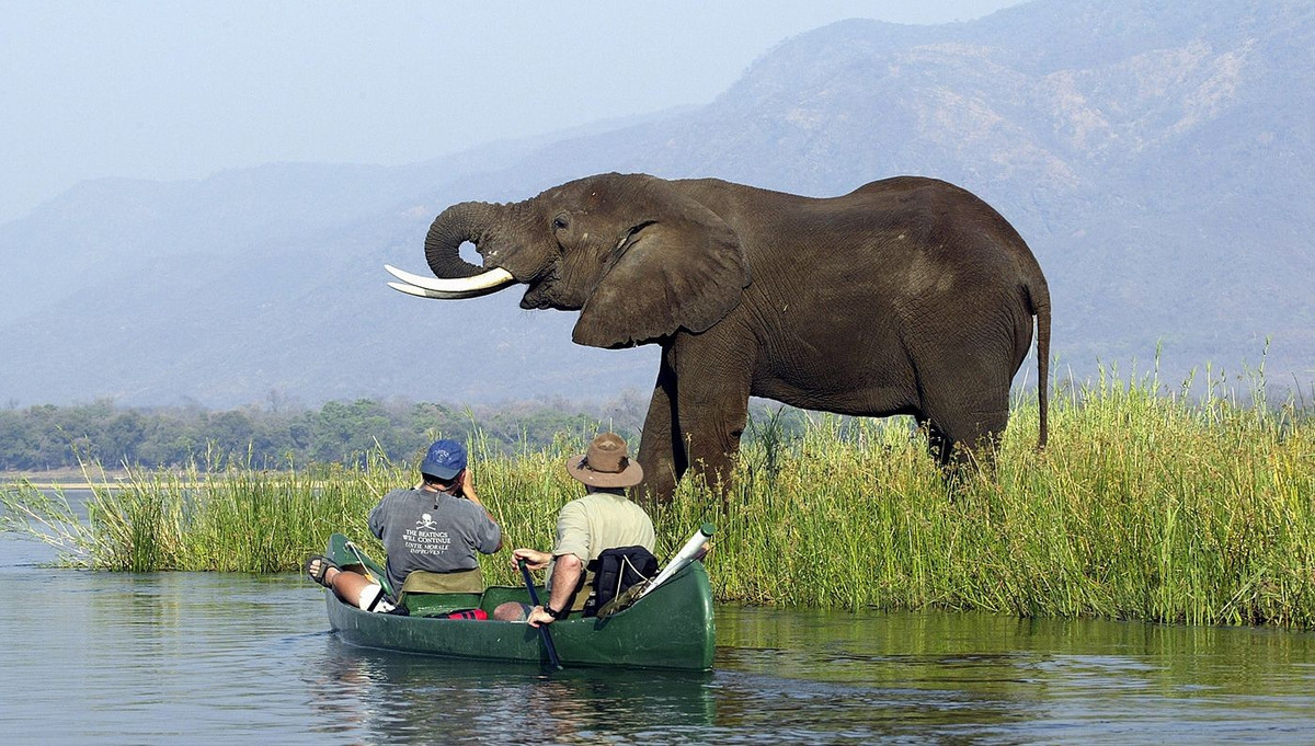  Ít chịu tác động của du lịch đại trà. Khác nhiều vườn quốc gia khác, Mana Pools chỉ cho phép du khách đi bộ safari có kiểm soát, mang lại trải nghiệm gần gũi và chân thực với thiên nhiên hoang dã. Ảnh: Pinterest.