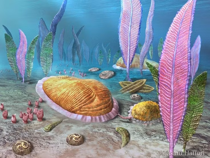  Không giống bất kỳ sinh vật hiện đại nào. Hình dạng của Charnia trông như một chiếc lá dương xỉ với các nhánh phân tầng đối xứng, nhưng lại không có cơ quan rõ ràng như miệng, ruột hay hệ tiêu hóa. Ảnh: Pinterest.