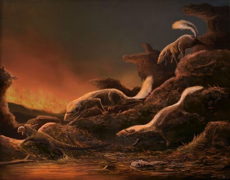  Có kích thước chỉ bằng chuột nhỏ. Dài khoảng 10 cm, Morganucodon là một trong những sinh vật tí hon thời đó. Ảnh: Pinterest.