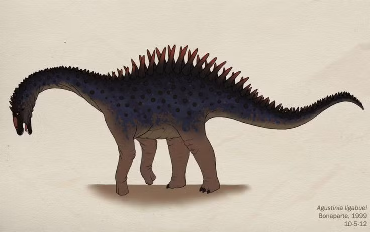  Sống vào kỷ Phấn Trắng sớm. Loài khủng long này tồn tại khoảng 110–115 triệu năm trước, trong giai đoạn các loài khủng long ăn cỏ khổng lồ vẫn thống trị các hệ sinh thái trên cạn. Ảnh: Pinterest.