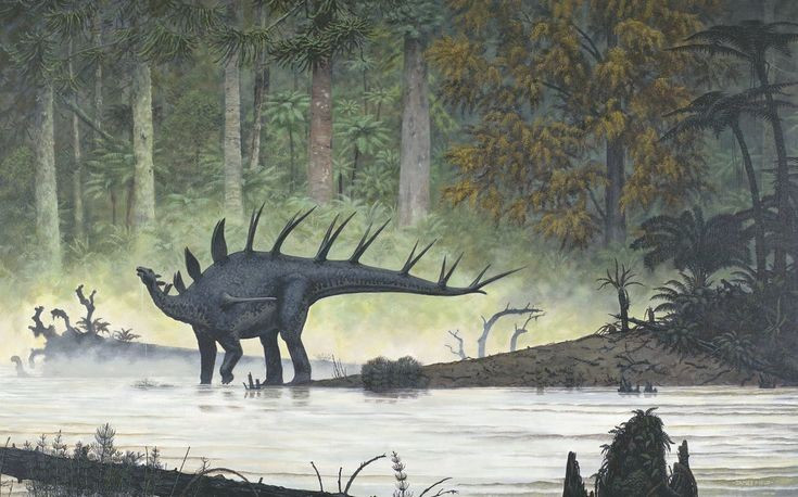  Sống ở châu Phi thời tiền sử. Hóa thạch Kentrosaurus được phát hiện chủ yếu tại Tanzania, cho thấy trong kỷ Jura muộn, châu Phi từng là môi trường sống của nhiều loài khủng long bọc giáp đa dạng. Ảnh: Pinterest.