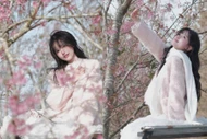 'Rich kid' Pun đốn tim với bộ ảnh check-in với hoa mai anh đào ngọt ngào