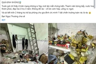 Nam sinh bị chủ trọ tố ra đường là soái ca, về phòng thì bừa bộn như bãi rác