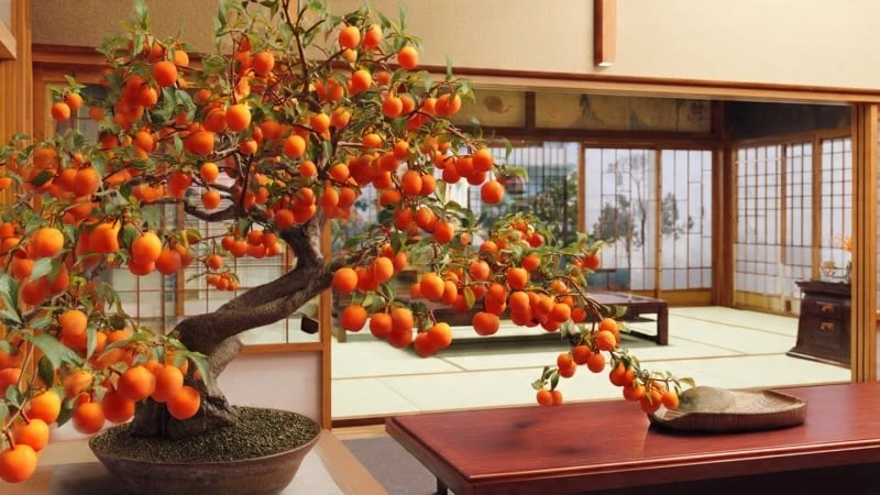 Điểm tên 4 cây cảnh như báu vật sống, hút vô số tài lộc vào nhà