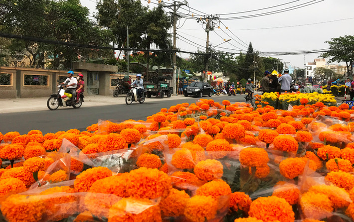 Giữa trưa nay 30 Tết (15/2), những giờ cuối cùng chuẩn bị đón giao thừa mừng năm mới Mậu Tuất, đường phố TP.HCM từ trung tâm ra đến các quận, huyện ngoại thành tràn ngập sắc hoa rực rỡ. 