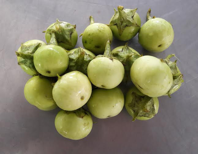 Chất độc trong cà pháo thường được biết tới là các alkaloids – chất gây ra vị đắng. (Nguồn Rauvanduc)