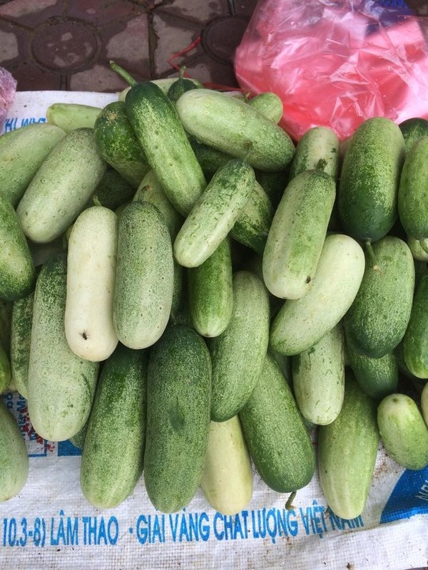 Ngày xưa, giống dưa mèo được bà con trồng và đem đi lên nương rẫy để ăn khi đi làm. Còn ngày nay, bà con còn thu hoạch để bán cho khách du lịch. (Nguồn Photobucket)