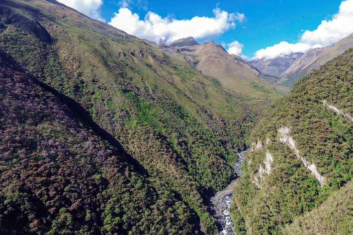 Được thành lập vào năm 1995, Vườn quốc gia Madidi, Bolivia - nơi đa dạng sinh học nhất Trái đất trải dài trên độ cao từ 182m đến 6.000m so với mực nước biển và rộng khoảng 18.130km2. Đây là vùng tiếp giáp giữa đồng bằng Amazon và dải Andes - 2 địa danh nổi nhất tiếng Nam Mỹ. Theo The New York Times, vị trí địa lý đặc biệt cùng cao độ thay đổi rõ rệt làm cho hệ sinh thái ở Madidi đa dạng với đủ loại từ rừng sương mù, rừng thấp đến sông, suối, đầm lầy, và thậm chí cả những lớp băng vĩnh cửu.