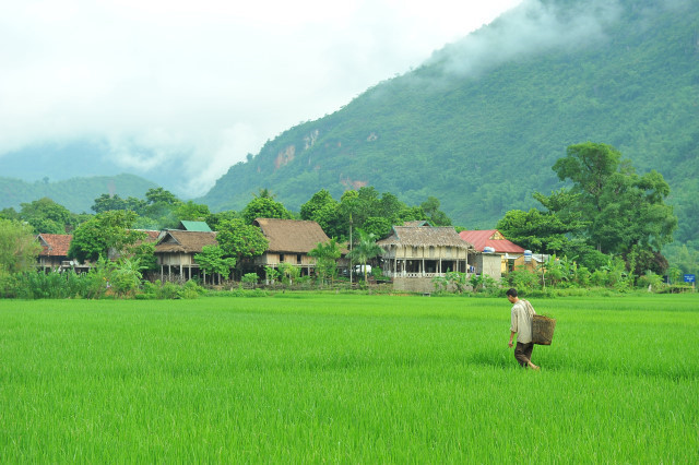 Mai Châu (Hòa Bình): Chỉ cách thủ đô 120 km, Mai Châu là điểm đến lý tưởng cho các gia đình. Ngoài cảnh sắc núi rừng tuyệt đẹp, du khách còn có cơ hội trải nghiệm văn hóa địa phương, ghé thăm các làng bản và thưởng thức nhiều món đặc sản. Mai Châu còn có nhiều sản phẩm thủ công tinh xảo thích hợp làm quà lưu niệm để bạn tặng cho bạn bè, người thân. Ảnh: Vietnamtips/Wordpress.