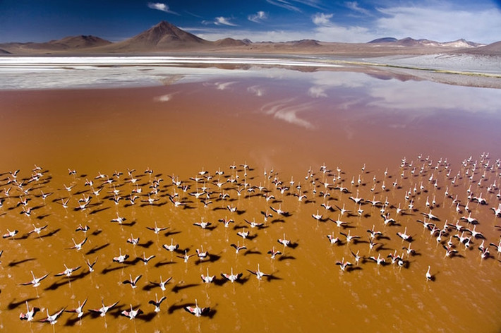 7. Laguna Colorada Laguna Colorada nằm ở Bolivia gần biên giới của Chile. Màu đỏ của nước là do các trầm tích màu đỏ và sắc tố của tảo. Khác với vùng nước biển màu đỏ, Laguna Colorada còn là nơi có nhiều loài chim hồng hạc và một số hòn đảo borax trắng.