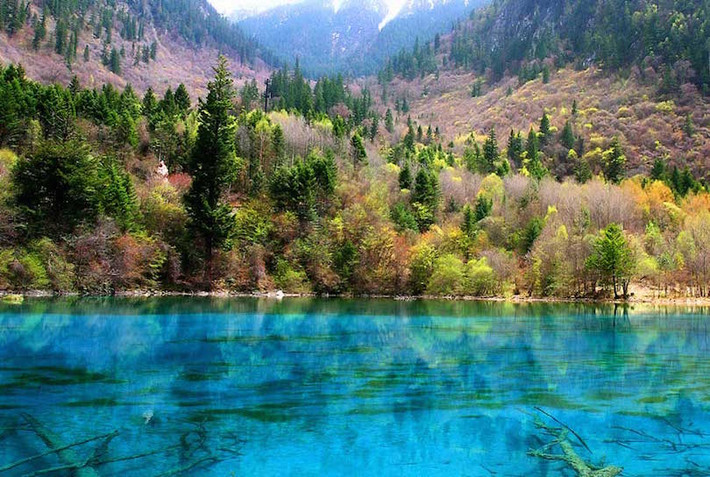 2. Jiuzhaigou Thung lũng Jiuzhaigou của Trung Quốc là nơi có hàng chục hồ nước màu xanh, xanh lá cây và ngọc lam. Người dân địa phương gọi các vùng nước này là "Haizi", nghĩa là "con trai của biển". Những hồ nước đầy màu sắc được tạo ra bởi hoạt động của dòng sông băng và ngày nay nhiều thác nước đổ vào những vùng biển nguyên sơ này. Nước màu đẹp và trong veo khiến du khách có thể nhìn thấu đáy hồ.