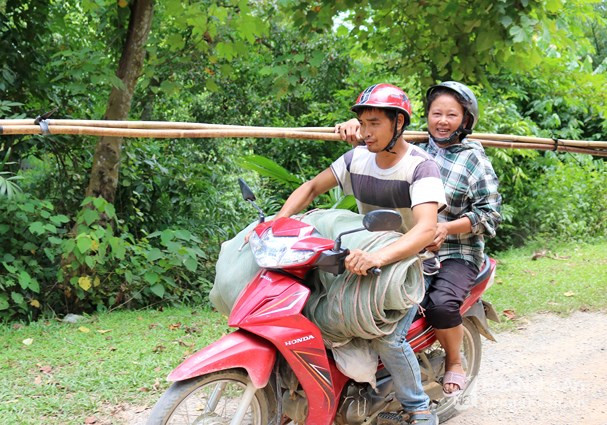 Những ngày này, về các huyện Anh Sơn, Đô Lương, Thanh Chương… dễ thấy những người dân đi xe máy chở theo những cuộn lưới, bao lưới, mang theo những chiếc sào dài, thì đó chắc chắn là những người làm nghề trèo trám. Ảnh: Huy Thư