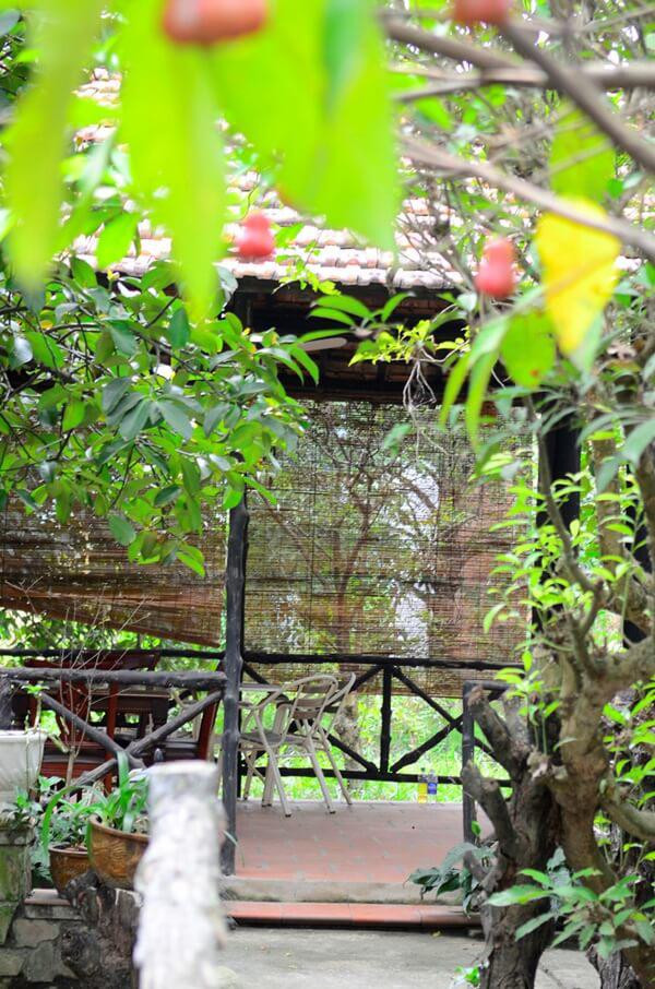 Không gian rộng, nhiều cây xanh được thiết kế theo kiểu nhà vườn cho phép chị tạo ra nhiều vị trí thư giãn, tận hưởng thiên nhiên vào mỗi sáng sớm.