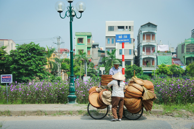 Bà Phạm Thị Biết, người dân sống trong khu vực, chia sẻ: “Hoa đẹp nên chiều nào tầm 5h tôi cũng ra tưới cho luống hoa trước nhà. Hoa này hay lắm, sáng ra, cứ tầm 9, 10h là nở bung, tím biếc cả đoạn đường nhưng đến chiều lại tàn, rụng luôn, đặc biệt là những ngày nắng”.