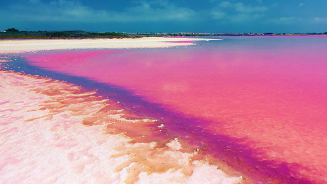 7.Hồ Retba, Senegal Hồ Retba có màu hồng do tảo Dunaliella gây ra trong nước. Vào mùa khô, mọi người có thể dễ dàng tìm thấy nó trong nước.