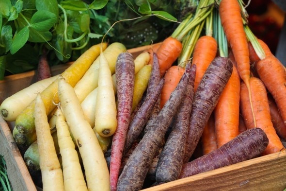 Cà rốt Cà rốt là loại rau chứa rất nhiều vitamin và có vị ngọt tự nhiên. Cà rốt là loại rau củ rất ưa ánh nắng mặt trời và cần rất nhiều nước. Vì vậy, bạn hãy chờ thời tiết mùa xuân thật ấm áp để bắt đầu mùa vụ cà rốt mới của mình.