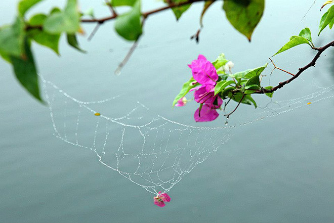 Những cơn mưa mang không khí mát lành, mang mùa thu dịu dàng về với Hà Nội.