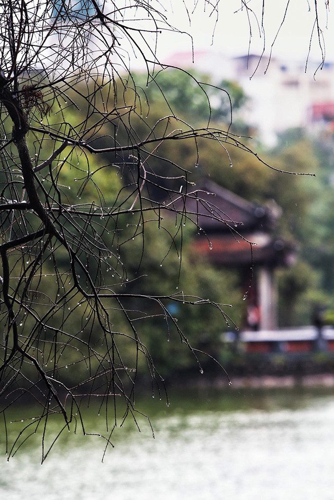 Mưa đến và đi cũng rất nhanh mang lại cho đất trời, cho lòng người bao cảm xúc, xuyến xao đến lạ lùng.