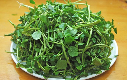 Rau liệt còn gọi là rau xà lách xoong, là một loại thực vật thủy sinh hay bán thủy sinh có nguồn gốc từ châu Âu tới Trung Á. Ảnh rauliet.